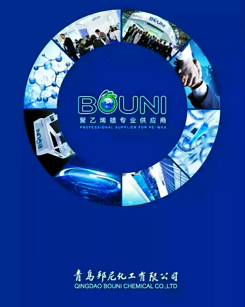 邦尼封面