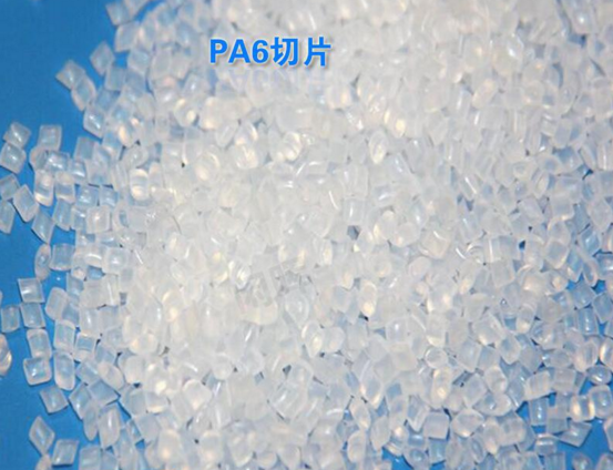 PA切片图片
